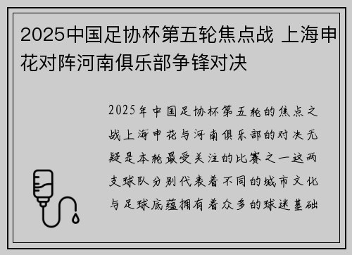 2025中国足协杯第五轮焦点战 上海申花对阵河南俱乐部争锋对决